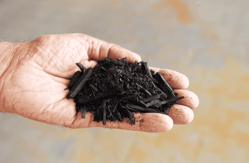 How Biochar Technology is Revolutionizing Agriculture in the Middle East and North Africa